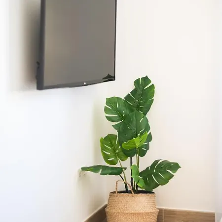 Magec Cruz Apartament